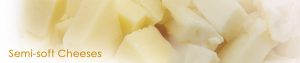 SEMI SOFT CHEESE