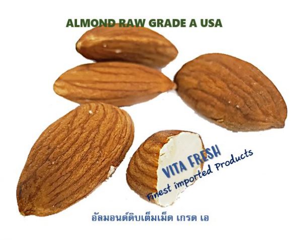 Almond อัลมอนด์ จำหน่าย