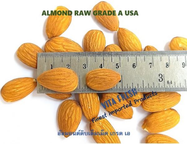Almond อัลมอนด์ จำหน่าย - Image 2