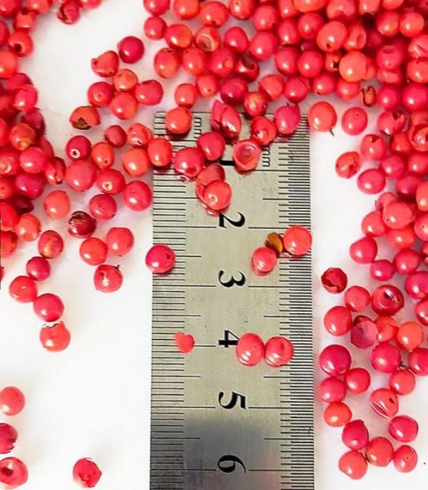 พริกไทยชมพู Pink Pepper Corn - Image 2