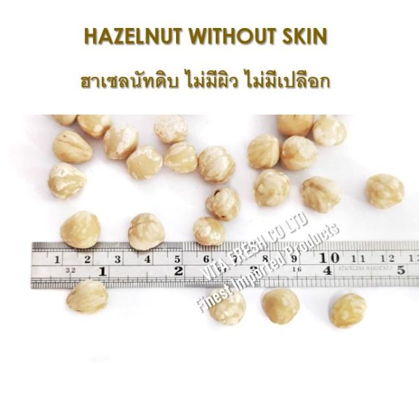 Hazelnut without skin เฮเซลนัท เม็ดเต็ม ลอกผิว - Image 6
