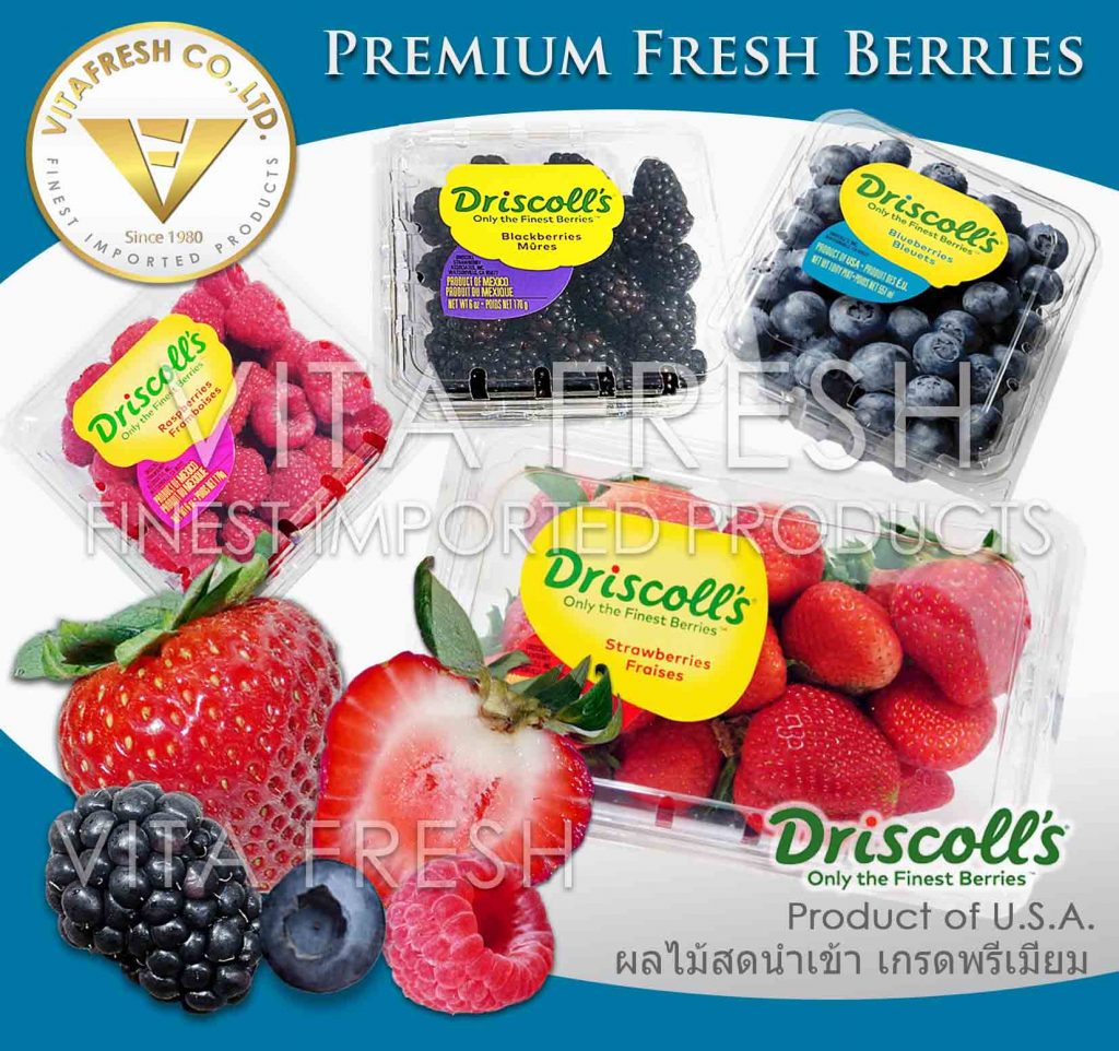 Fresh Berries เบอร์รี่สดนำเข้า