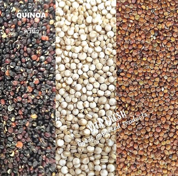 Quinoa ควินัว
