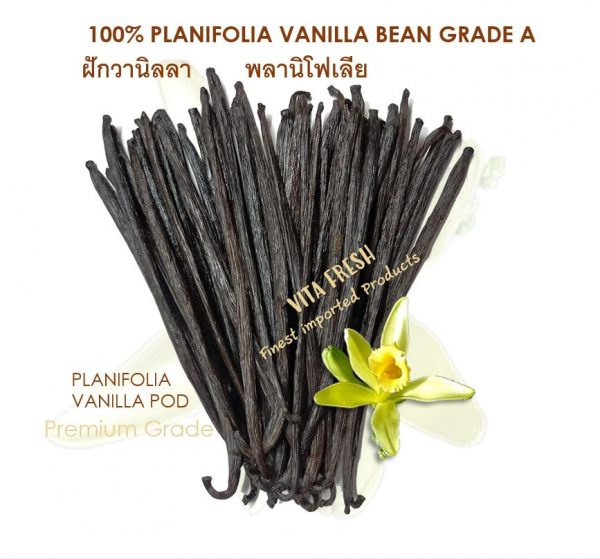 ฝักวานิลลา พลานิโฟเลีย Planifolia Vanilla - Image 6