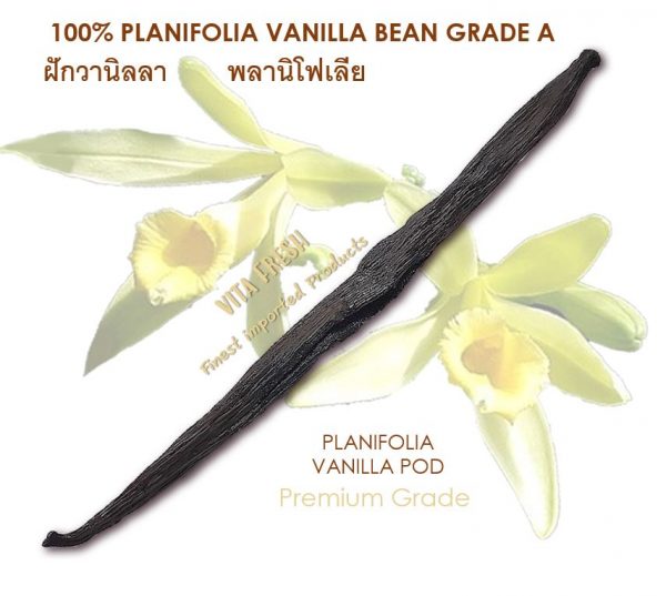 ฝักวานิลลา พลานิโฟเลีย Planifolia Vanilla - Image 3