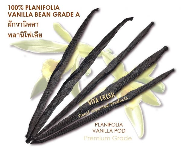 ฝักวานิลลา พลานิโฟเลีย Planifolia Vanilla - Image 7